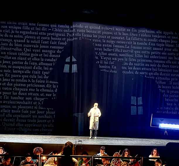 http://www.mathieucrescence.com/files/gimgs/84_cendrillon-2.jpg